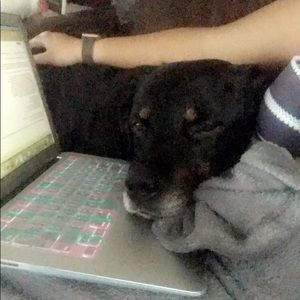 Meet your Posher, Sydney